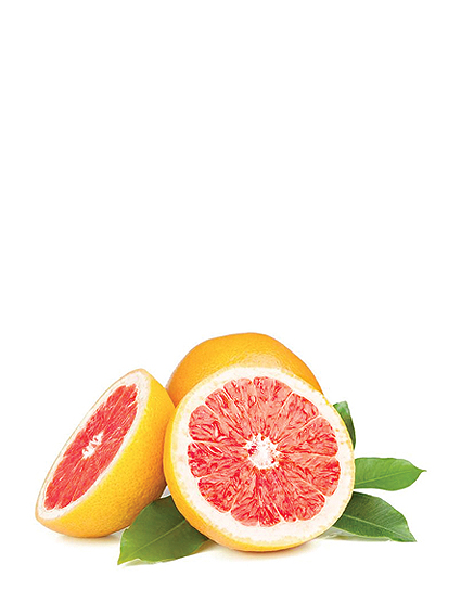 Grapefruit-02